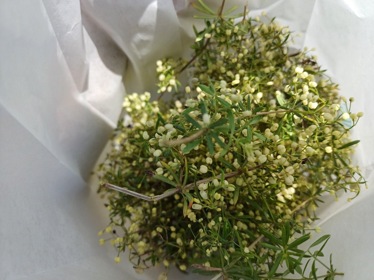 LIFE SEEDFORCE tweet media