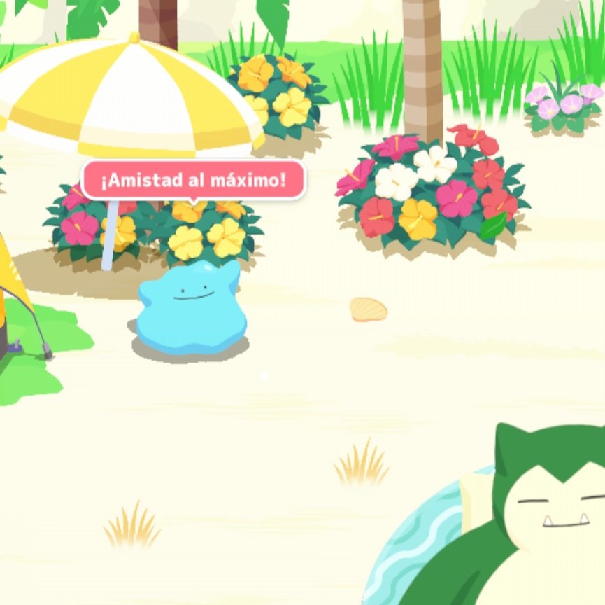 cikanaki's tweet photo. Esta fue mi noche de Suerte, 
Dos shiny ✨️🌙
#Pokemon #PokemonSleep #PokemonShiny https://t.co/7wOtuaWRyV