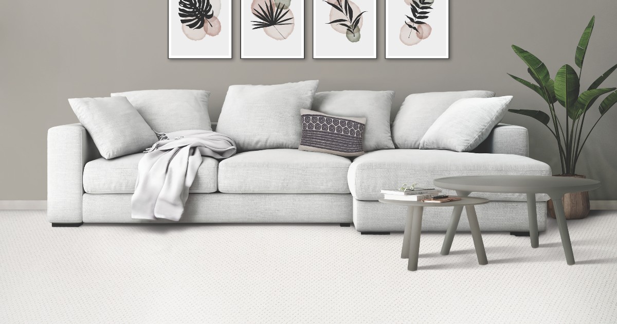 MohawkFlooring's tweet image. White #carpet? Not a problem. With our #AllPet warranty and an 18 year history of stain resistance, #SmartStrand is ready for the challenge. 🐾 [bit.ly/45HvAIF]

#ForeverClean #petfriendly #MohawkFlooring #familyfriendly