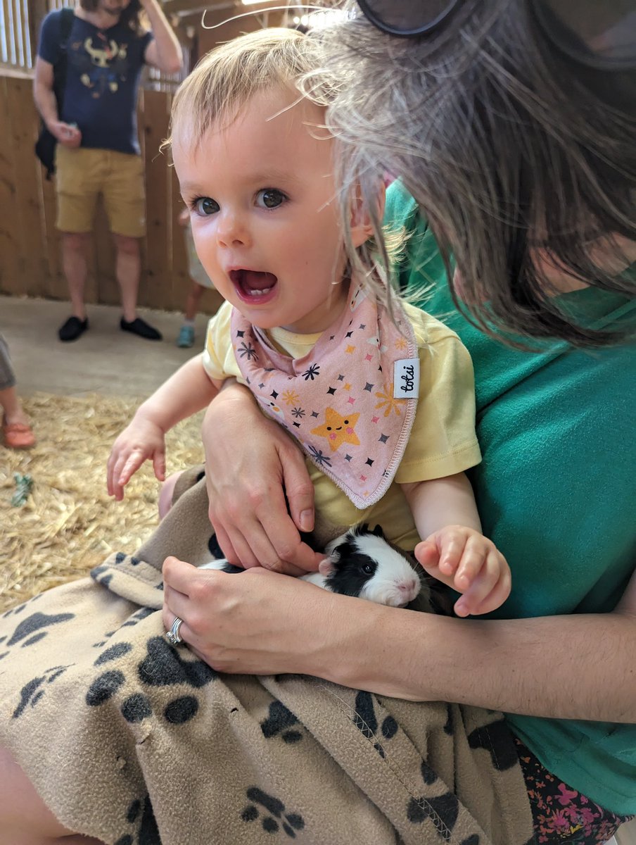 DrHannahHobson's tweet photo. Such a busy and incredible week at Bristol, first at #cogdev2023 and then at #NDinHE - so many great presentations and thought provoking talks (and special thanks to my OH who solo parented our guinea pig bothering 14 month old this week so I could come!) https://t.co/70NxMd7czQ