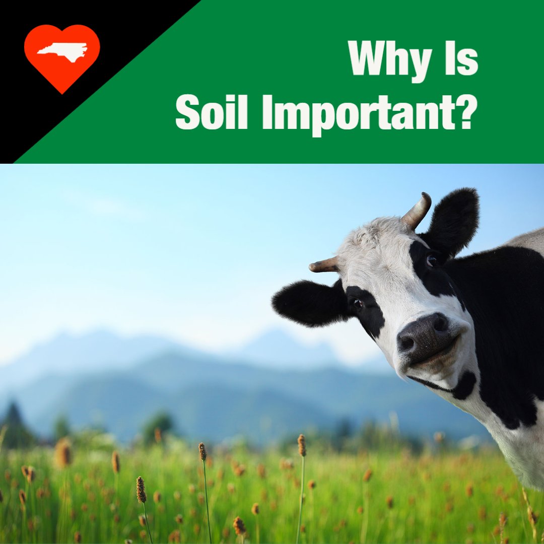 NCCompostingCouncil tweet media