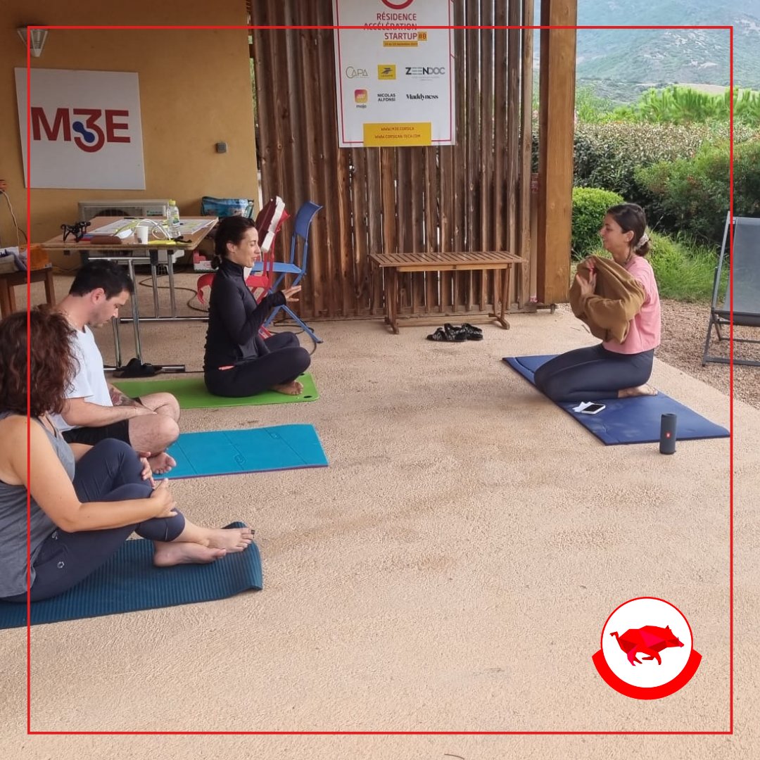 Corsican Tech tweet media