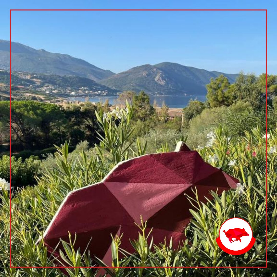 Corsican Tech tweet media