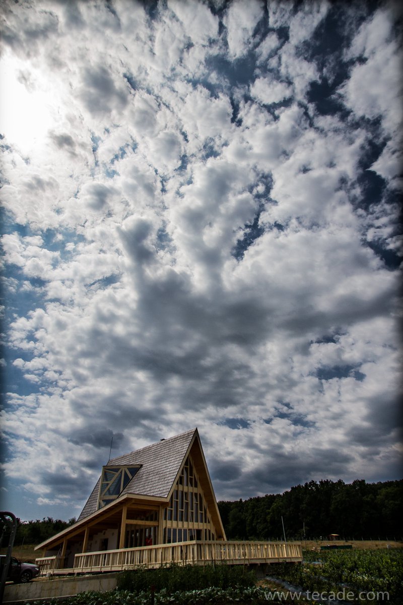 Introducing a truly luxurious Romanian residence entirely crafted from Accoya wood! 🌲🌲

🖌️Architect: Alexandru Cristian
🌲Distributor: Tecade

Find out more: accoya.com/uk/project/lux…

#AccoyaWood #LuxuryLiving #Architecture #Romania