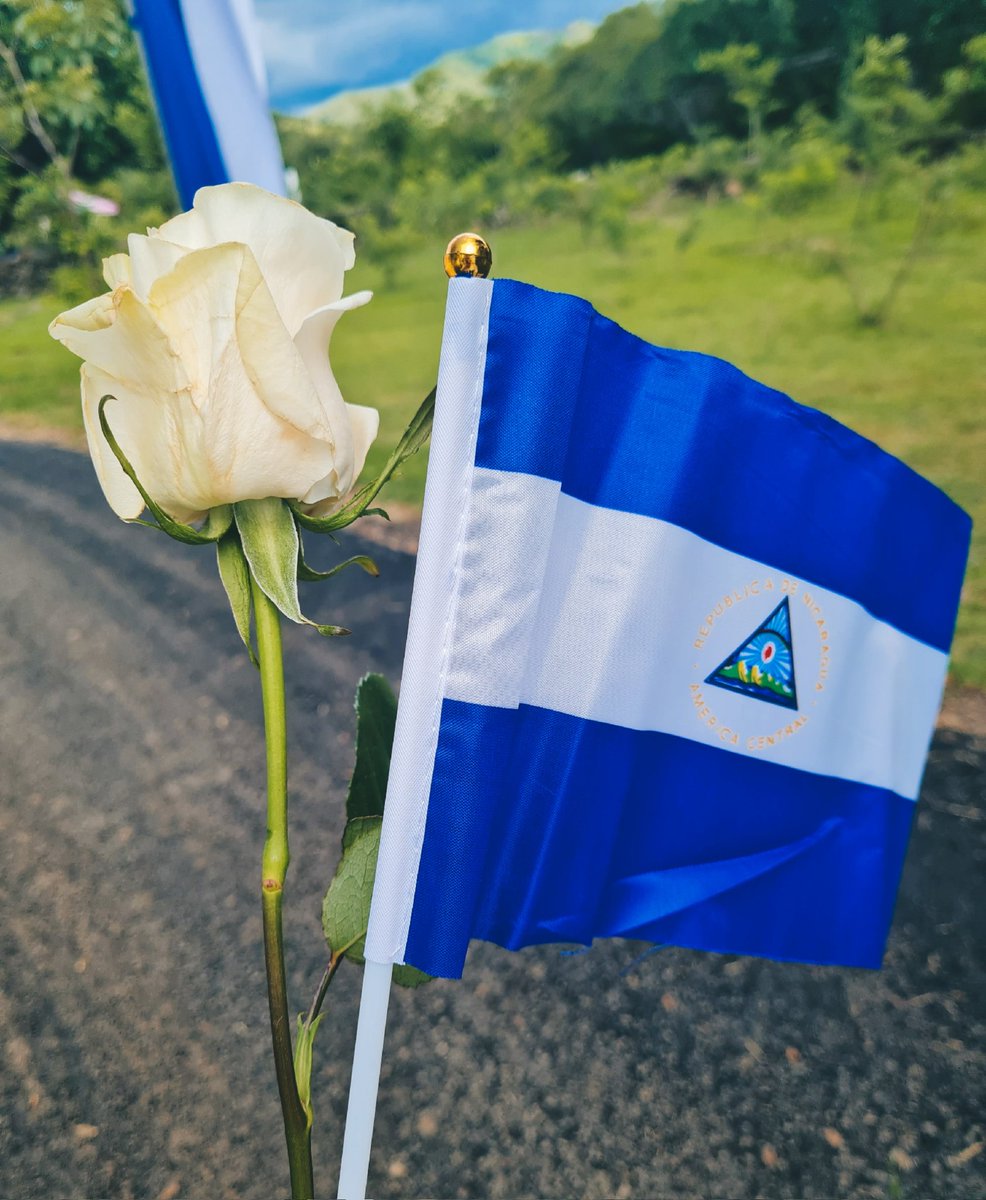 Buenos días! 🥰🌷☕️🕊🇳🇮

Hoy #15Septiembre celebramos con orgullo la Independencia de Nicaragua. 

Hoy ratificamos nuestro compromiso de seguir defendiendo nuestra soberanía y la patria con dignidad.

#PatriaBenditayLibre
#AmoraNicaragua
#PLOMO19