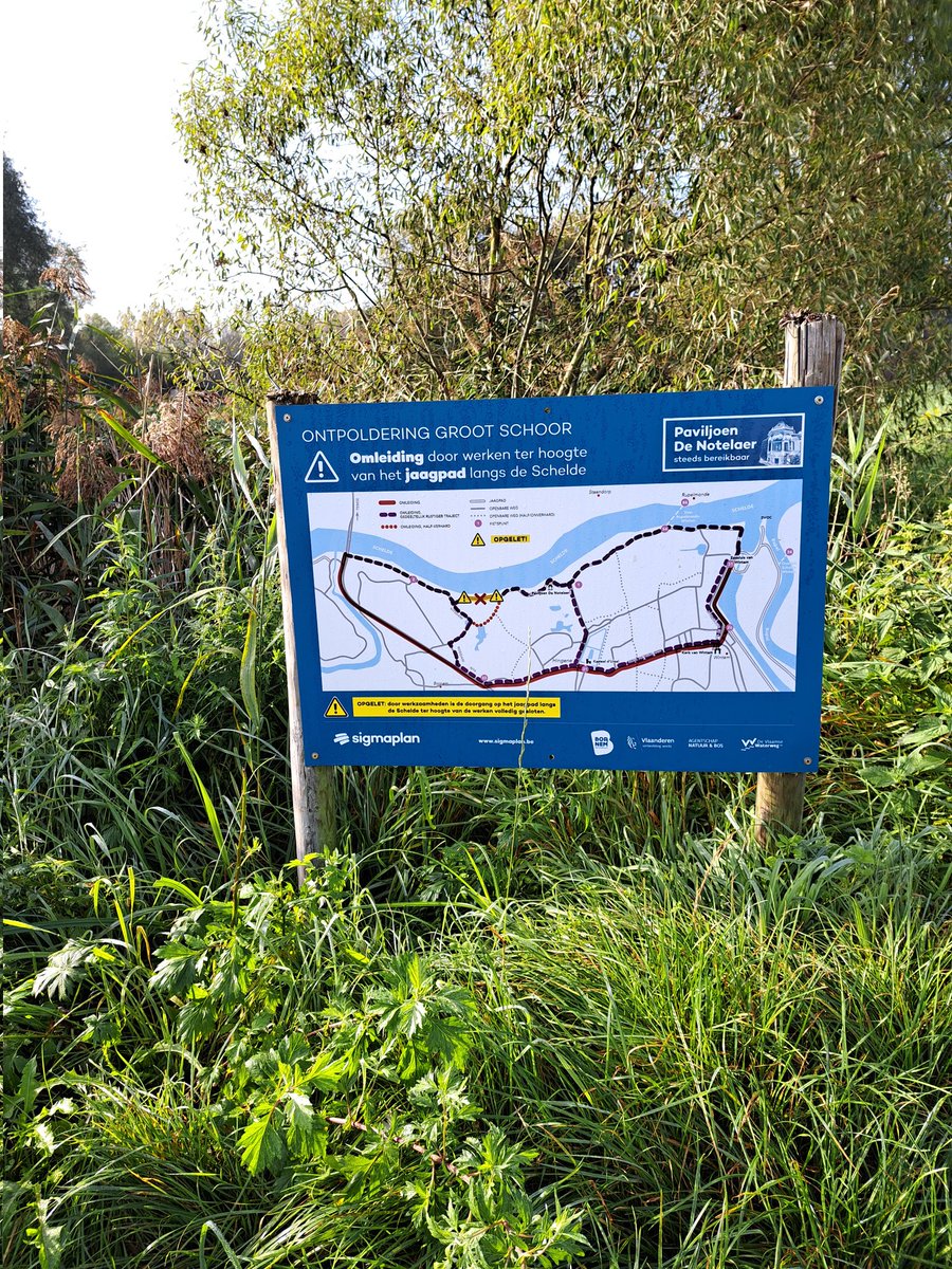 snoKBR's tweet photo. Samen met vrijwilligers paviljoen #Notelaer voegden we een extra route toe aan de omleiding #ontpoldering Groot Schoor #Hingene #Sigmaplan @GemeenteBornem https://t.co/1FcpyW2DxO
