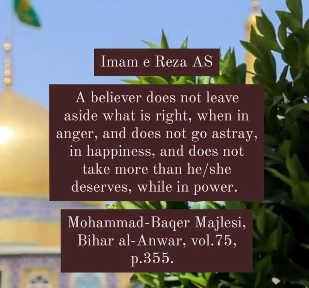 Petersonco's tweet photo. #ImamReza https://t.co/R5k7B9hm1Y
