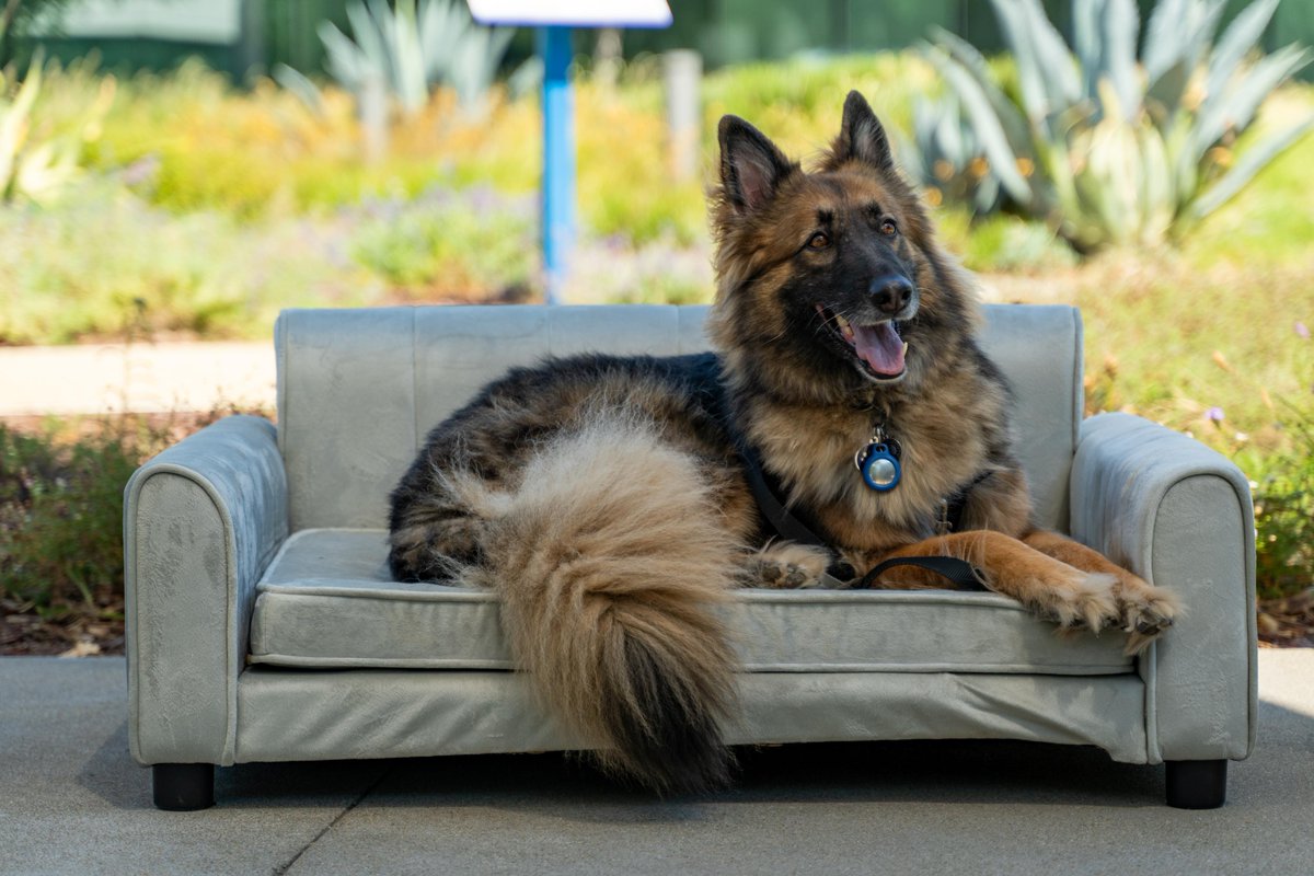 WorkdayLife tweet media