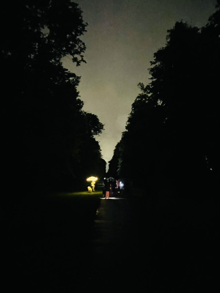 alikerr77's tweet photo. A lil’ candle/torch victory stroll up @castletownOPW avenue 💚☔️ 

🌳#savecastletown 🌳 #winners 💪🏼 
#community 👫👬👭🧑‍🤝‍🧑👏 https://t.co/7W6mKMXU7y
