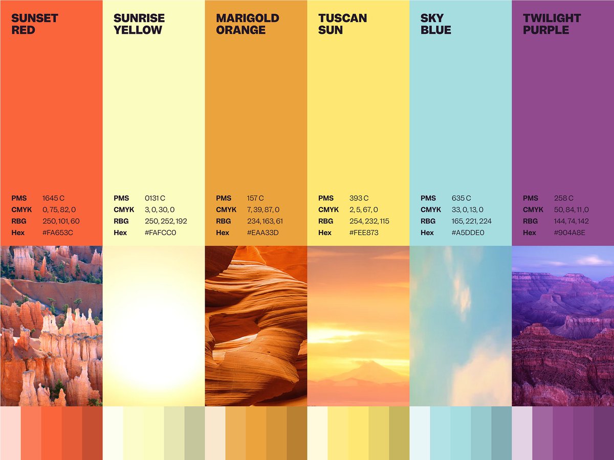 JoséPablo* tweet media