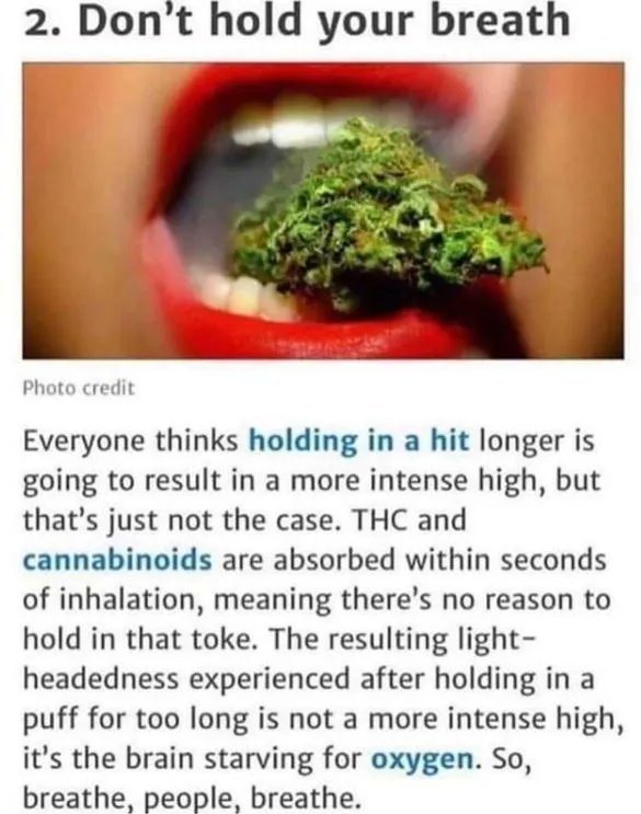 THC Humor 💹🧲 tweet media