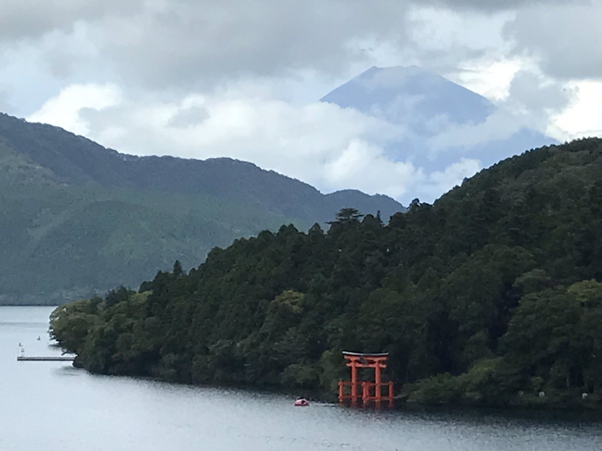 Hope Song tweet media