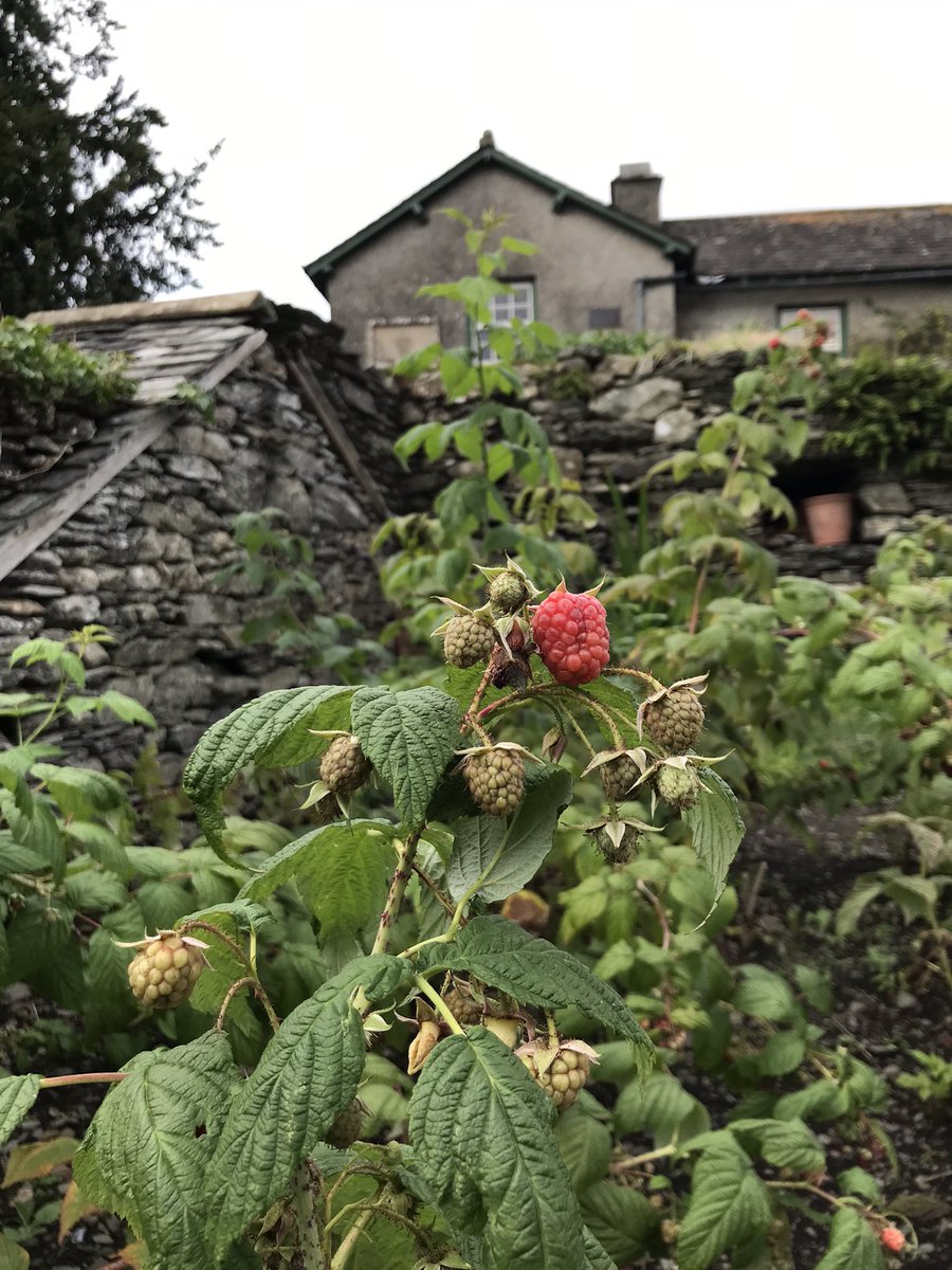 Hope Song tweet media