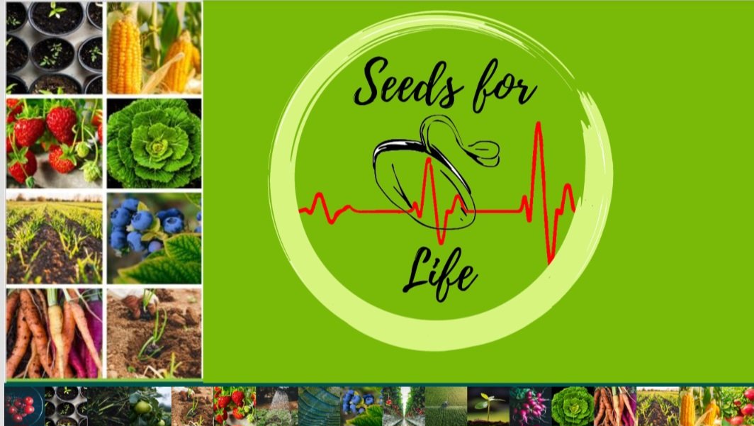 TholeCalibrate's tweet image. Contact @SeedsAgri for information on seeds, seedlings, vegetable gardens, #BioAge and anything and everything else on going organic