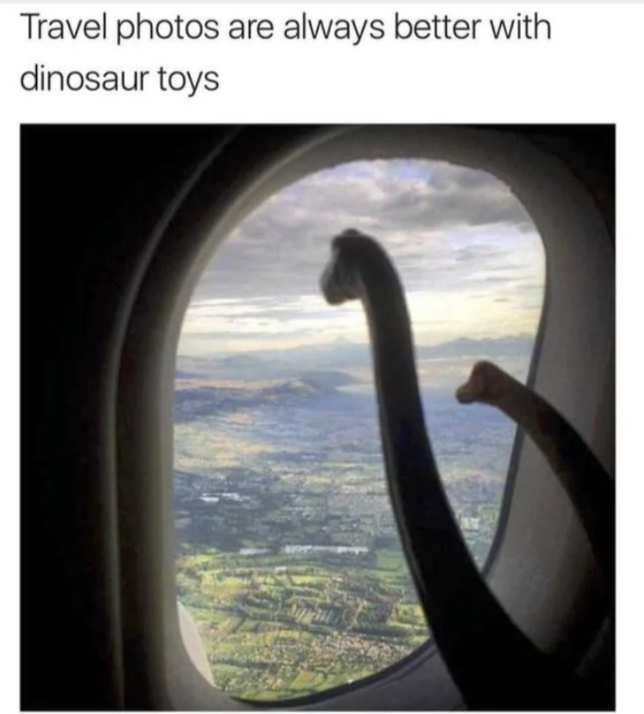 RespectfulMemes's tweet photo. https://t.co/PqGwPSTYQ0