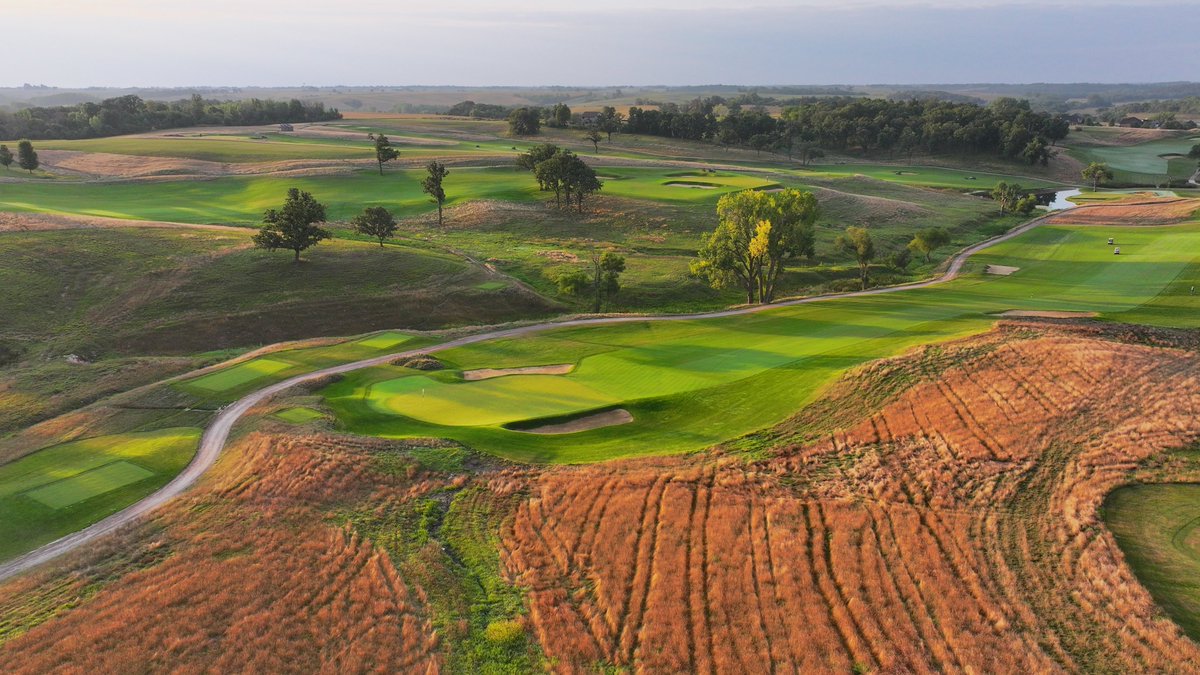 David Blum tweet media