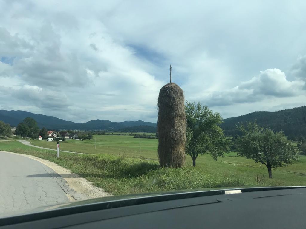 Ostrnice, a traditional way of drying hay in the Loška Dolina area of Slovenia.