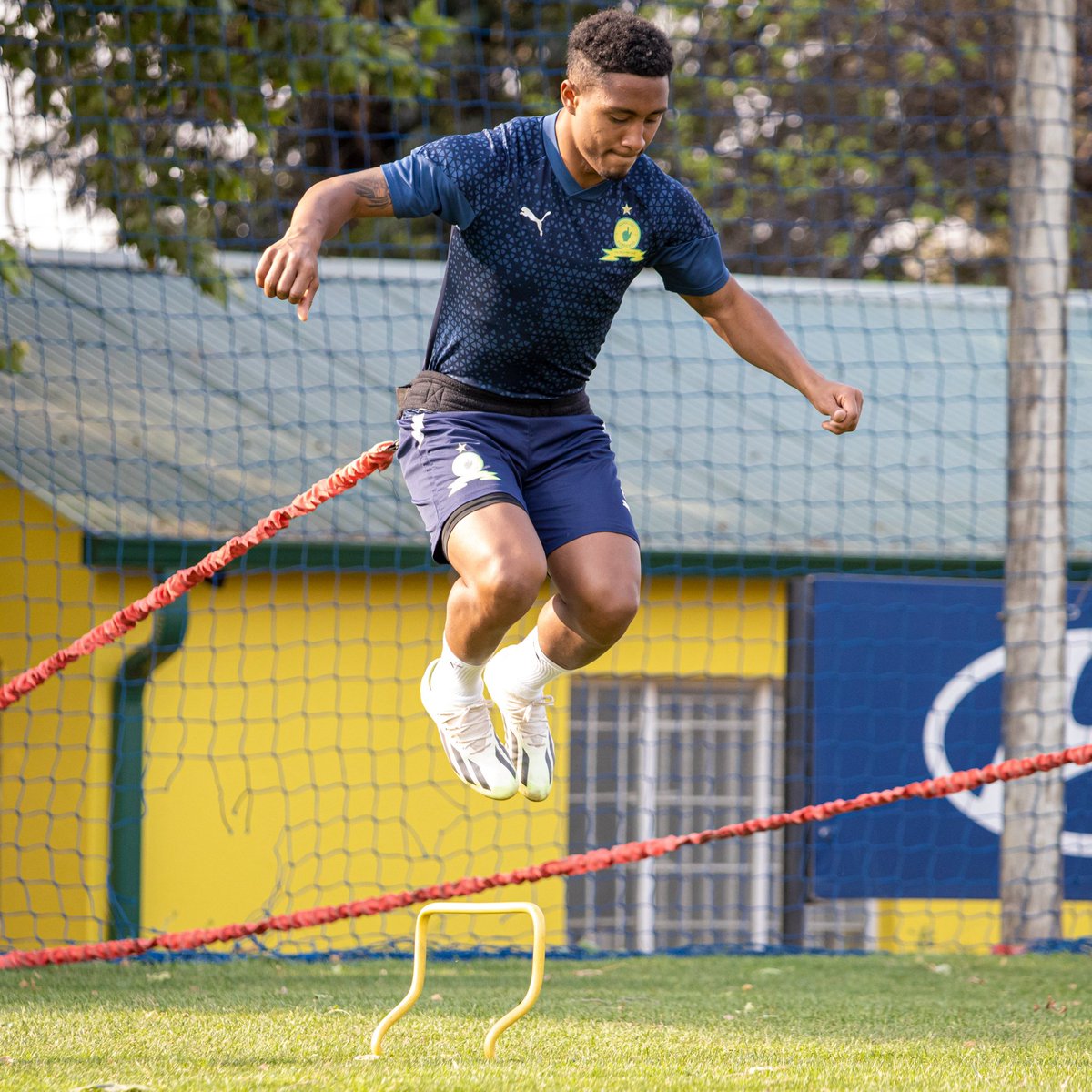 Thobeka03348641's tweet photo. The Punisher, YellowNation
#Sundowns https://t.co/f6Ak7xTSyC