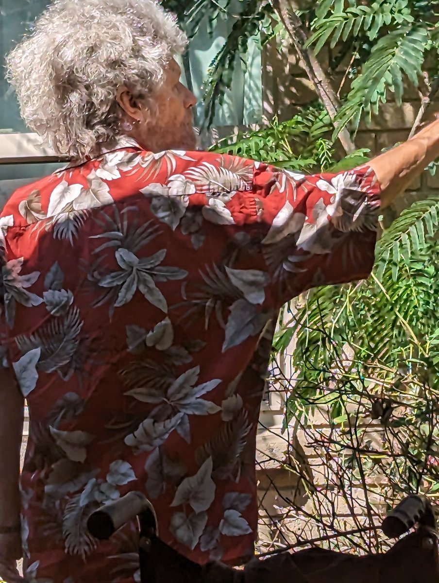 Bob Ross and his trees! Love you Eric. 🌳🌴💗