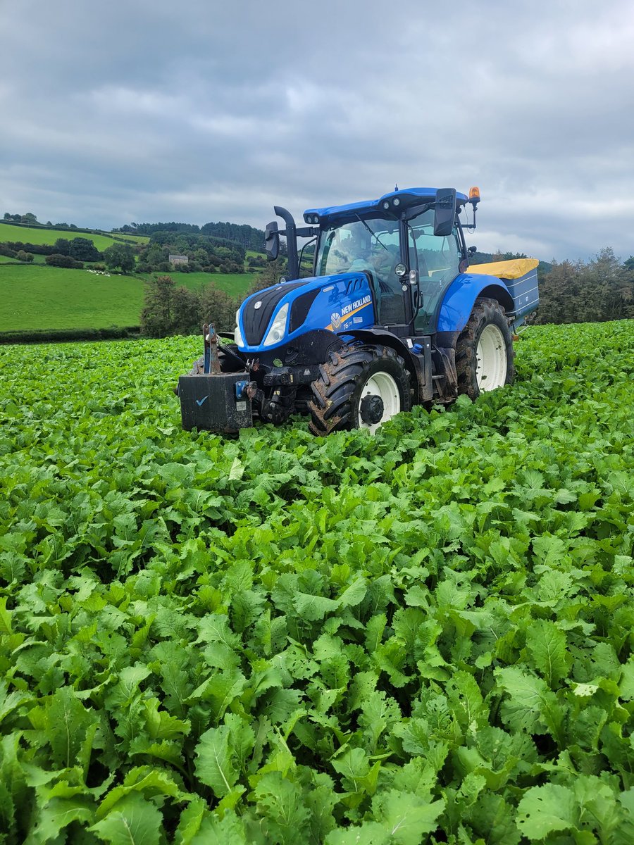 Mathew Roberts tweet media