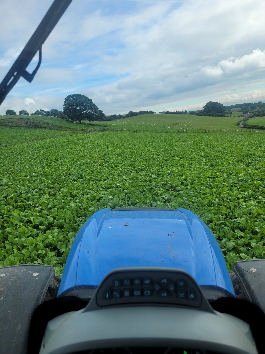 Mathew Roberts tweet media