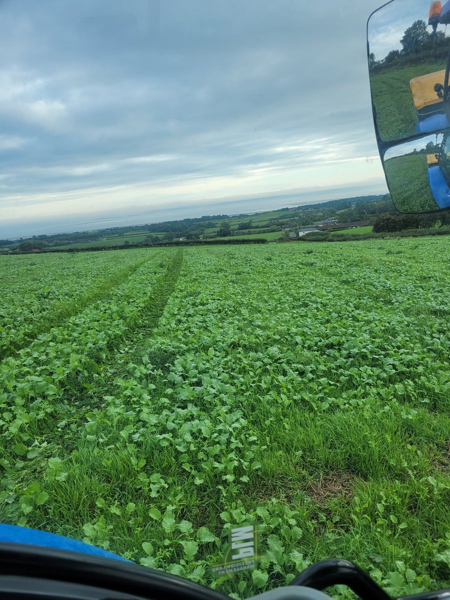 Mathew Roberts tweet media