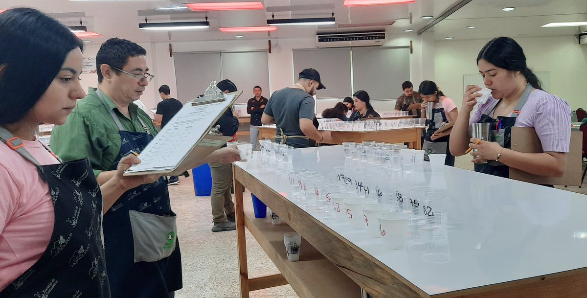 Del 07 al 13 de Septiembre se llevó a cabo las evaluaciones finales de la VII promoción de Catadores de Café de la sección  A y B del Campus CIC- JAS en Corquin, Copan; dando como alto rendimiento alcanzando el 94.5% 
Muchas felicidades a todos los alumnos