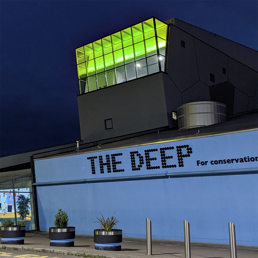 In support of International Myotonic Dystrophy Awareness Day, we will light the building green this evening. 💚

@CureDMCharity 
#TheDeepHull #Hull #Aquarium #MyotonicDystrophyAwarenessDay #MyotonicDystrophyAwareness #CureDM