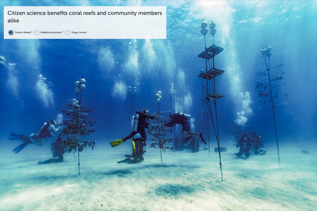 We’re thrilled to share our new research evaluating the impacts of <a href="/rescueareef/">Rescue a Reef</a>’s citizen science program is officially published!

We found that there are meaningful, positive impacts from our activities for both coral reefs &amp; community members 🪸🏡

🧵👇
frontiersin.org/articles/10.33…