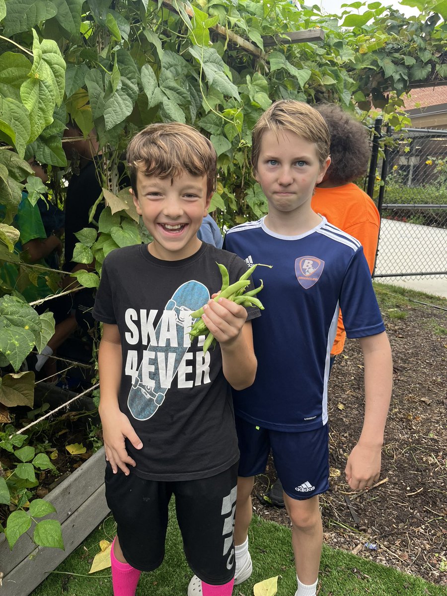 BrownPocoBlue's tweet photo. 6th graders have been harvesting, cutting, blanching, and freezing our green beans.  Getting ready for Harvest Soup! https://t.co/P0jF2a5rS4