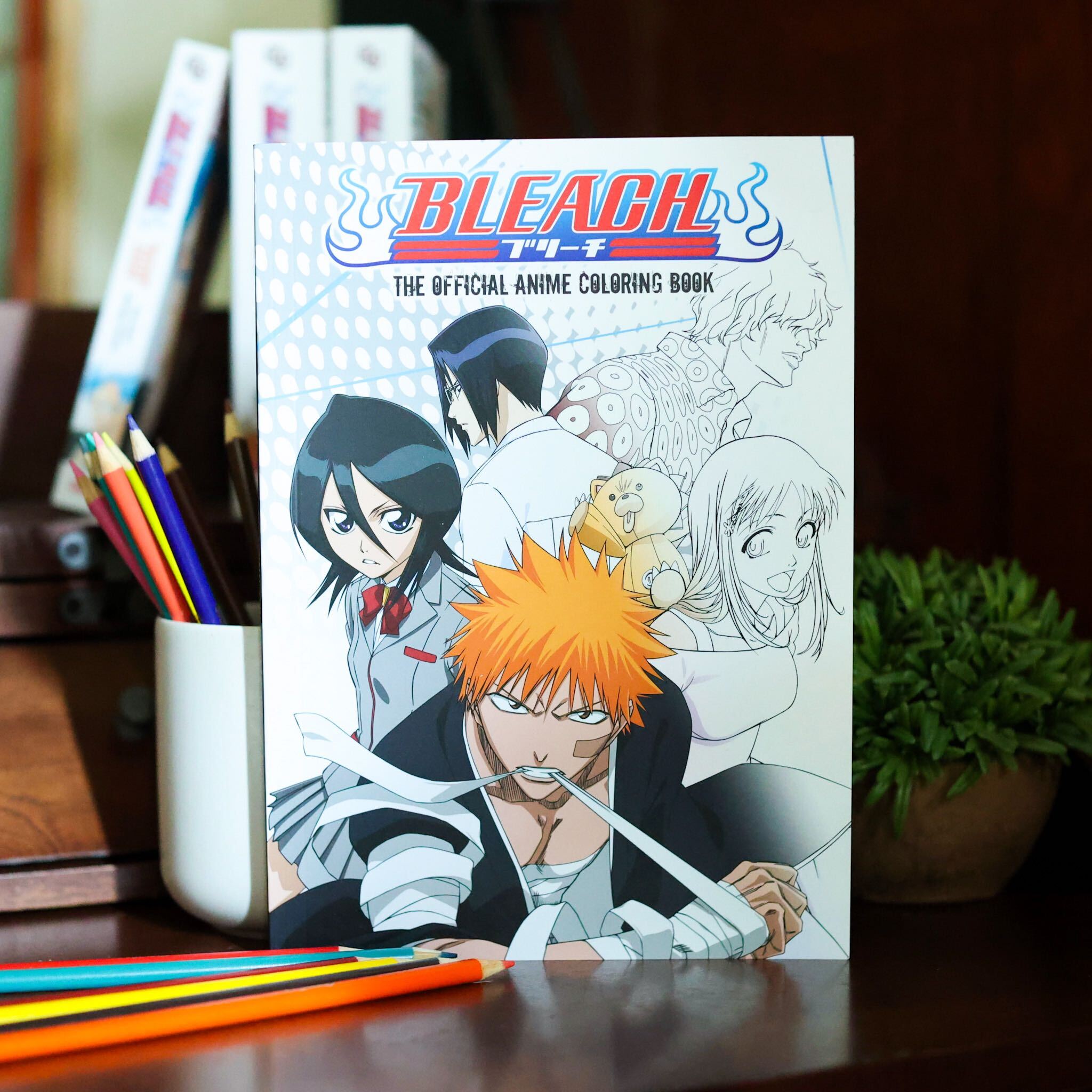 BLEACH: The Official Anime Coloring Book (Bleach: The Official Coloring  Book)