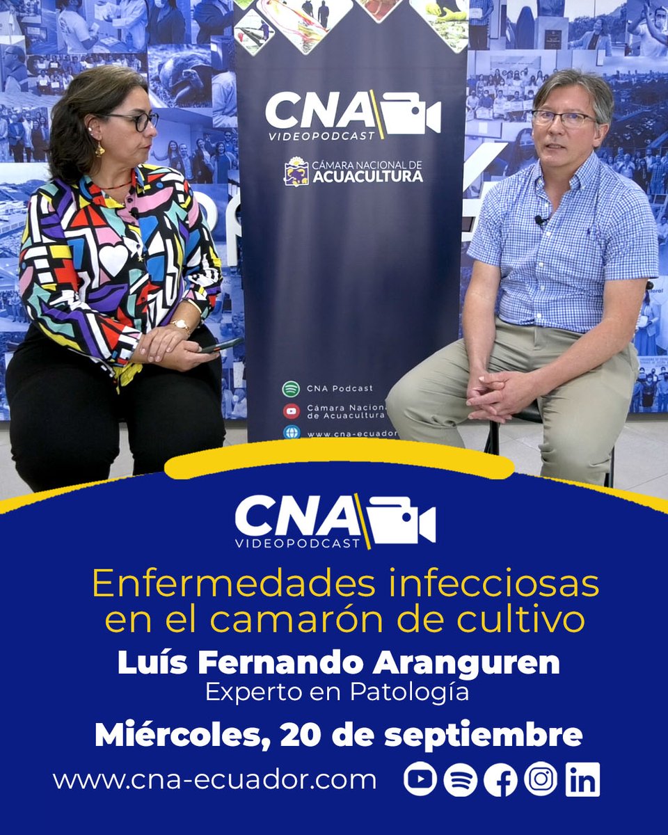 cnaecuador's tweet photo. ▶️ ¡ESTE MIÉRCOLES 20 DE SEPTIEMBRE, #CNAVideoPodcast!
Enfermedades infecciosas en el camarón de cultivo.
Infórmate con Luís Fernando Aranguren, Experto en Patología.
👍 ¡SUSCRÍBETE A NUESTRO CANAL!
Link: https://t.co/YuzuVfgDbp https://t.co/uHBJLDCS9h