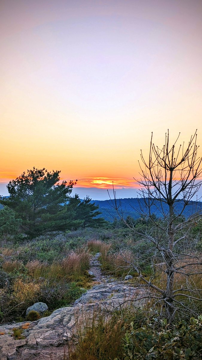 SoothingSoulSS's tweet photo. Get Outside. Enjoy a Sunset 🌄🥰
@SoothingSoulSS ❤️
#sunset
#sootheyoursoul 
#soothingsouls 
#soothingviews 
#soothingsoulsoothingsouls 
#relaxinnature 
#relaxunwindmeditate 
#getintonature 
#getoutside 
#takeawalk
#takeahike
#inhalefreshair 
#inhaleexhale 
#breatheinbreatheout https://t.co/YMD50ExrQT