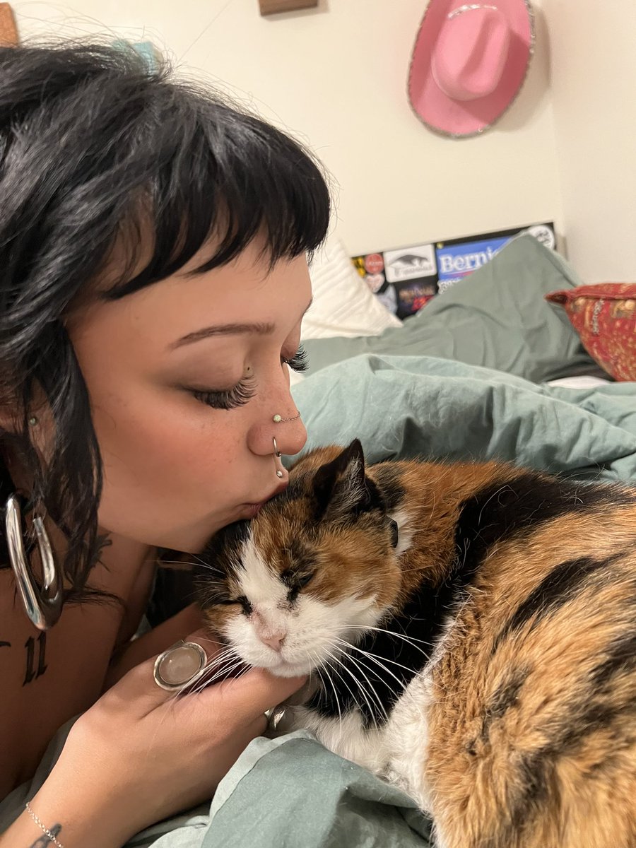 soapimpress1on's tweet image. rest in peace to my sweetest sleepiest old lady, momma loves you so much frankie. till we meet again
