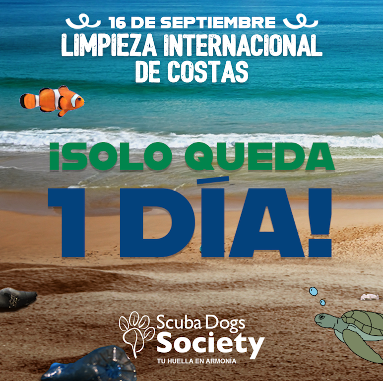 🐳 ¡Estamos a 1️⃣ día para la Limpieza Internacional de Costas 2023! 👀 Todavía puedes regístrarte como voluntario en scubadogssociety.org/playas-volunta…. #ICC2023 #LlévateATrashy
