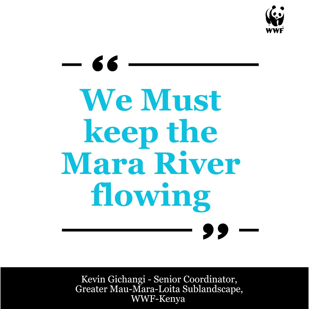 WWF_Kenya's tweet photo. 4. 

"We must keep the Mara River flowing." Kevin Gichangi -  Senior Subcoordinator, Greater Mara Sublandscape, WWF-Kenya. #MaraDay https://t.co/Uj5h8u1oPt