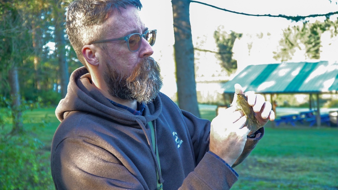 Alfred University tweet media