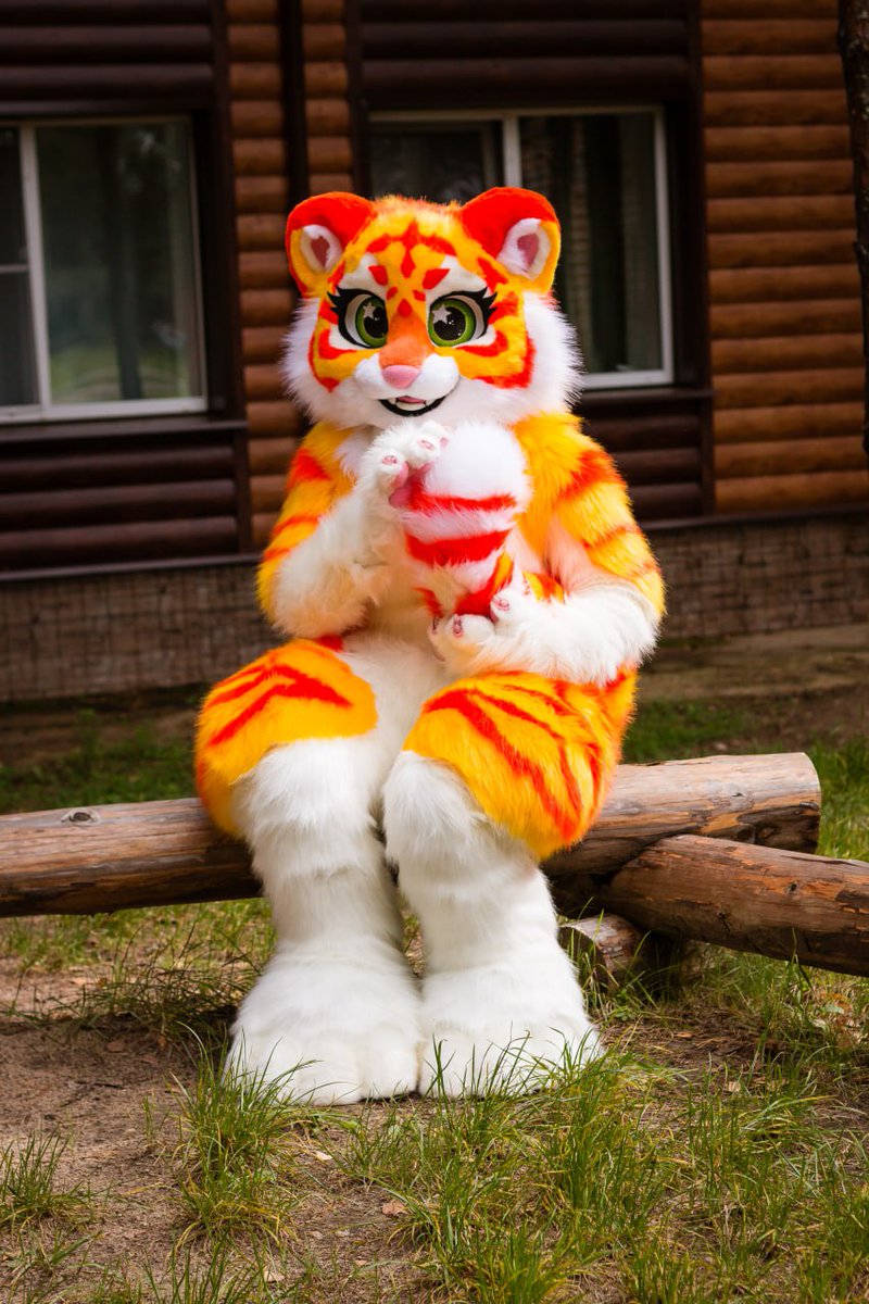 CatKrafi's tweet photo. Tigress Fullsuit! 🌲🐯💛🧡 
Original character, head, gloves with realistic claws, long tail on wire, eyelids on magnets, feetpaws, digi body with rubbered back and sides 

-
-
-
#fursuit #fursuitmaker #foambase #fursuitbase #tigerfursuit #tigerfursona #tigerfurry #digifursuit https://t.co/QfvL1q3Po8