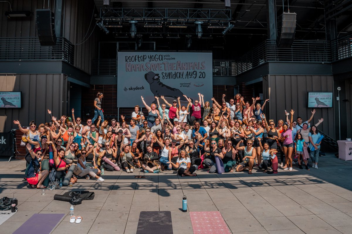 DwntwnNashville's tweet photo. All smiles thinking about FitDowntown puppy rooftop yoga THIS SUNDAY!
⏰ 9/17 @ 10 AM
📍 Skydeck at @Assembly_Hall
🐶 SOARescue
🧘♀️ Movement Lounge, By Yoga Muttz
🎟️ https://t.co/RCKk1CzgNX
#yoga #puppyyoga #dogsofnashville #fitdowntown #skydeck #movementlounge #rooftopyoga https://t.co/L6HYtb8m7G