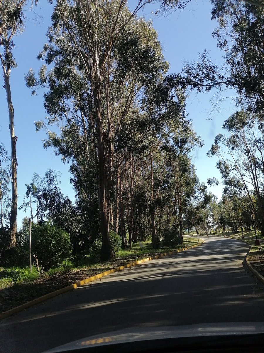 RoccoMarch's tweet photo. Las Cruces
Linda tarde.... https://t.co/58bCDIdYXK