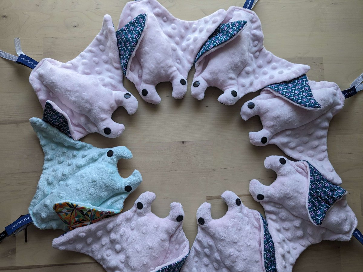Tieffeline's tweet photo. Coucou Twitter ! 
Pour arrondir un peu nos fins de mois, avec Lulu on vend des peluches faites main. Elles sont rembourrées avec les chutes pour éviter le gaspillage ! 
Il y a 8 raies manta, 20cm de long
20€ mais sans les frais de port https://t.co/veq6XgjPn5