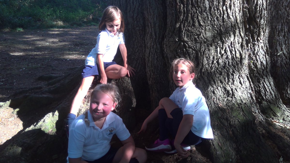 HZG_OutdoorEd's tweet photo. #HazlegroveYear3 have had great fun building obstacle courses for the squirrels today! #HazlegrovePrep #HazlegroveOutdoorEd https://t.co/D6Ib8qJHQH