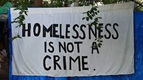 🇵🇸🏴☠️🌻TurboKitty🌻🏴☠️🇵🇸 tweet media