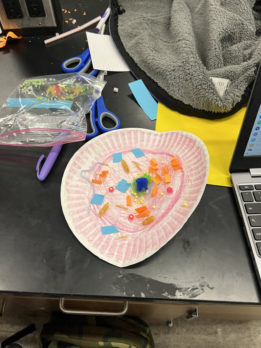 7th grade Science students were making models of cells or a nucleus today!  Way to go kids!  #JMSistheBEST