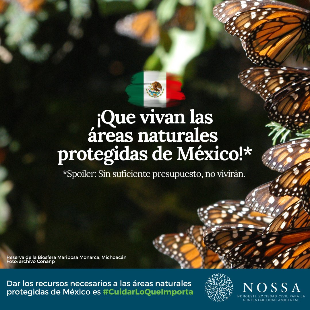 nossa_mexico's tweet photo. ¡Que viva México! 🇲🇽 
¡Que vivan sus #ÁreasNaturalesProtegidas! 🪺 
Pero ojo, hay que leer las letras chiquitas.🧐 #CuidarLoQueImporta #PPEF24 https://t.co/MuOdQS4OPh