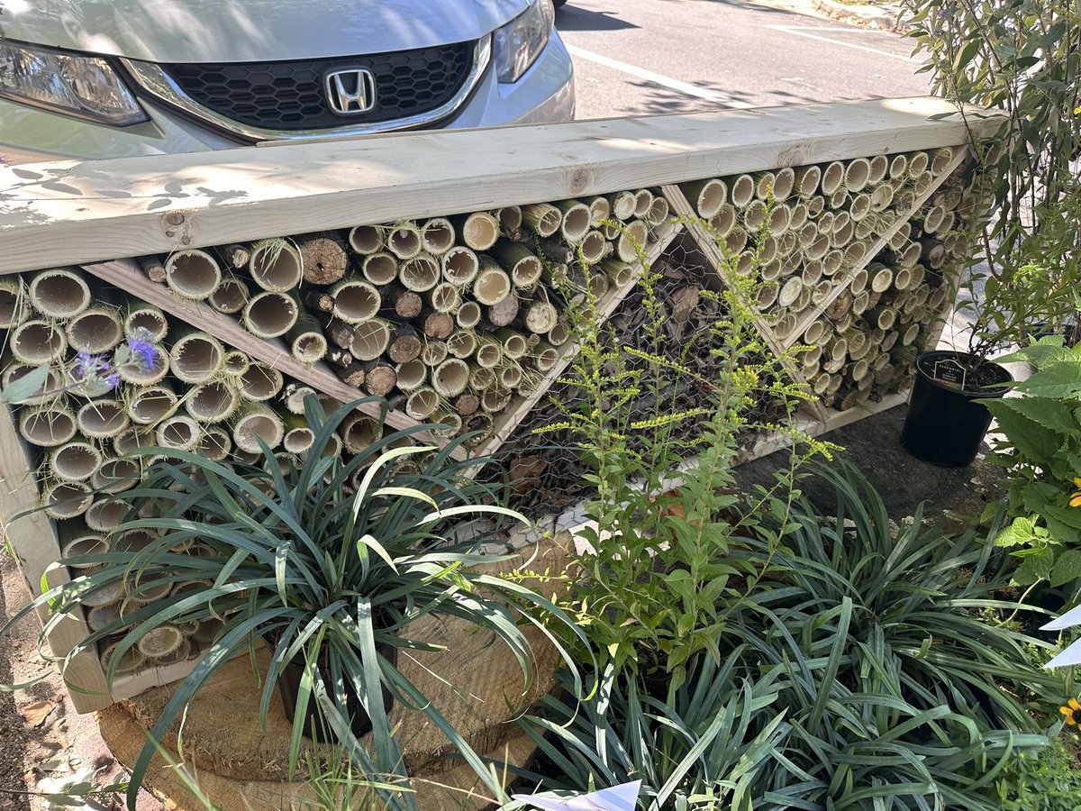 Happy #ParkingDay! Found this little enclave off of H St NE thanks to Moody Graham.