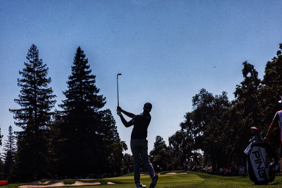 nick otto tweet media