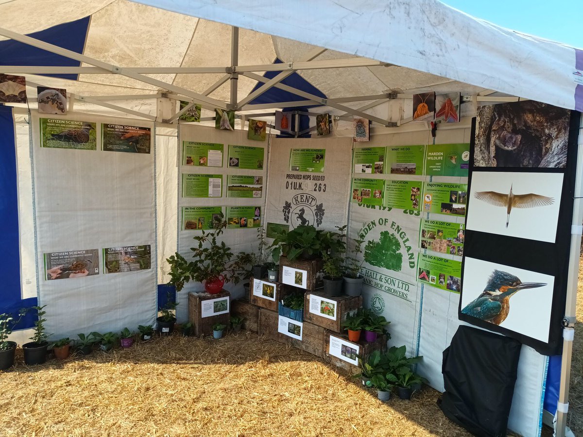While you’re there, pop along see how we study and look after what they are protecting! We’d love to chat to you.