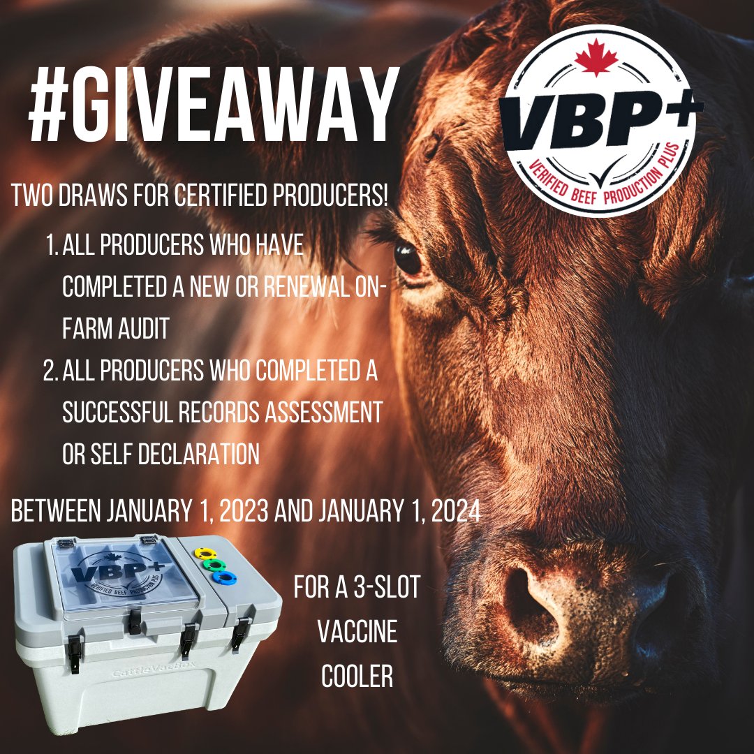 VBP+ Canada tweet media