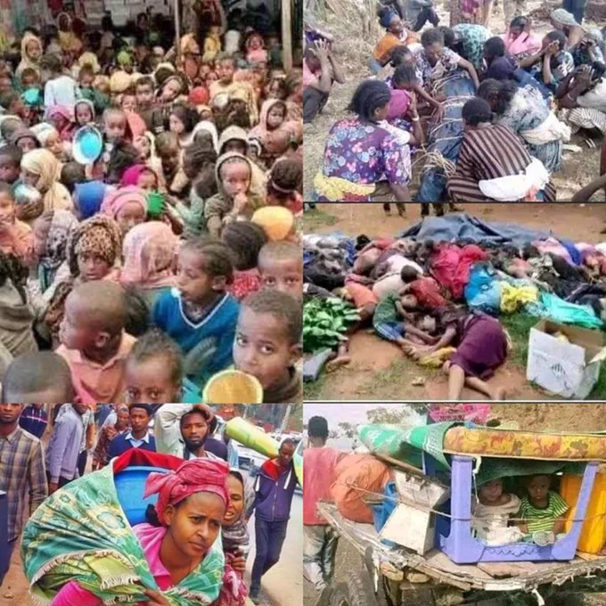 AbrarSuleiman's tweet photo. ተጀምሯል!

When will enough be enough?

The world should break its silence and be a voice for #Amhara people who are being massacred by Abiy's regime daily!
Reports of hidden #AmharaConcentrationCamps are coming out every day.
#AmharaGenocide 
@UN
@AJEnglish
@ICC
@BBCAfrica https://t.co/uDHuVaqKEA